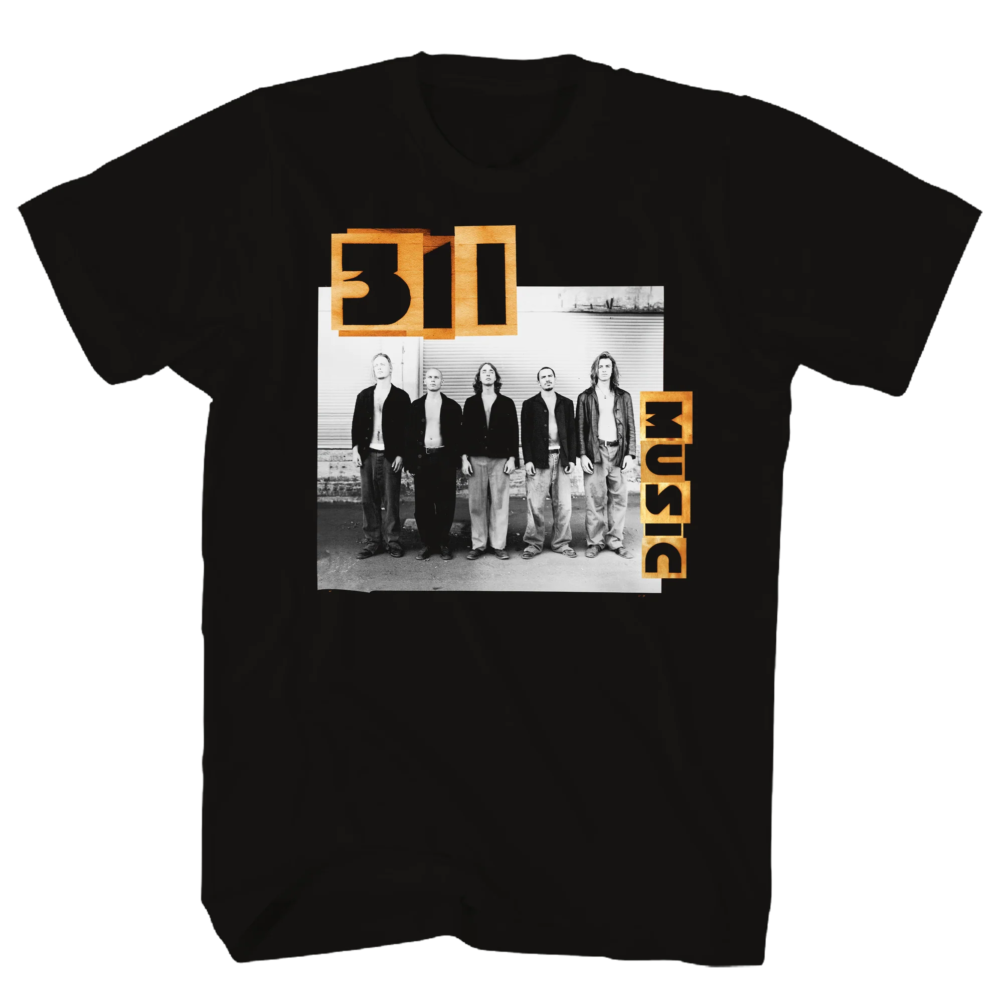 311 GROUP PORTRAIT DOUBLE SIDED
