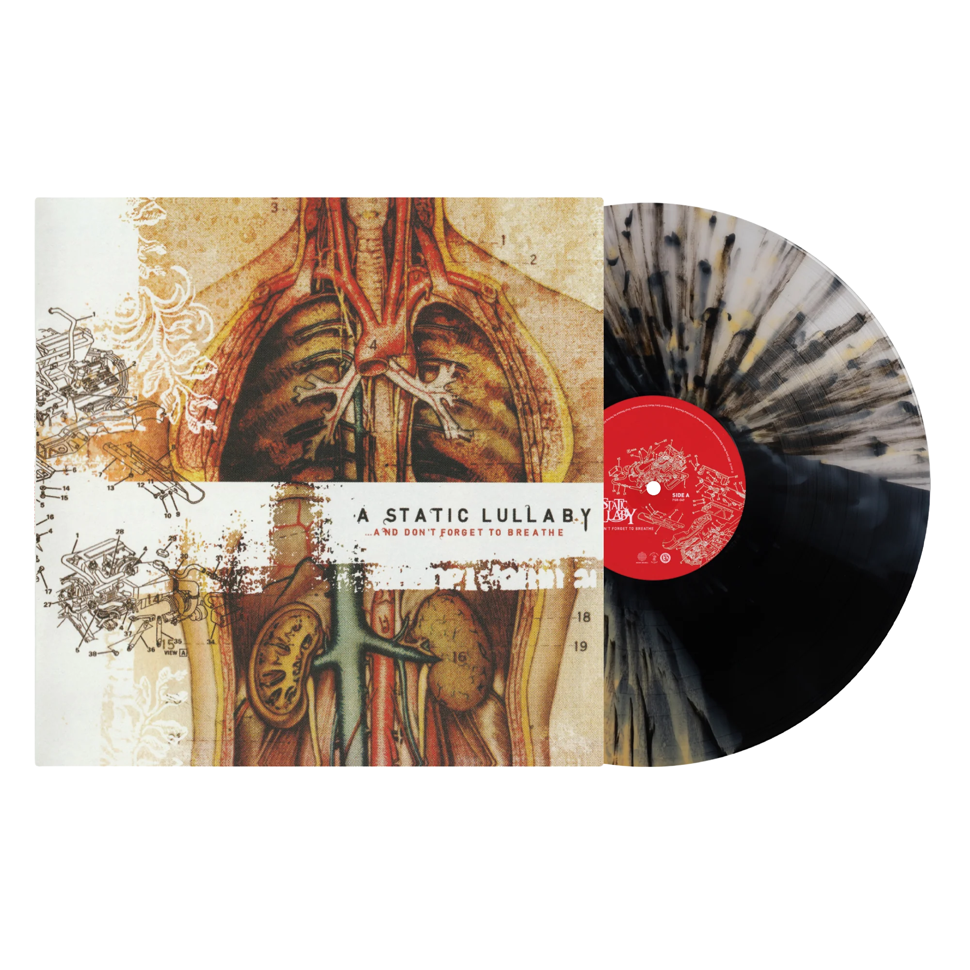 A STATIC LULLABY ‘…AND DON’T FORGET TO BREATHE’ LP (Exclusive – Limited to 200, Tri-Color Stripe w/ Splatter Vinyl)