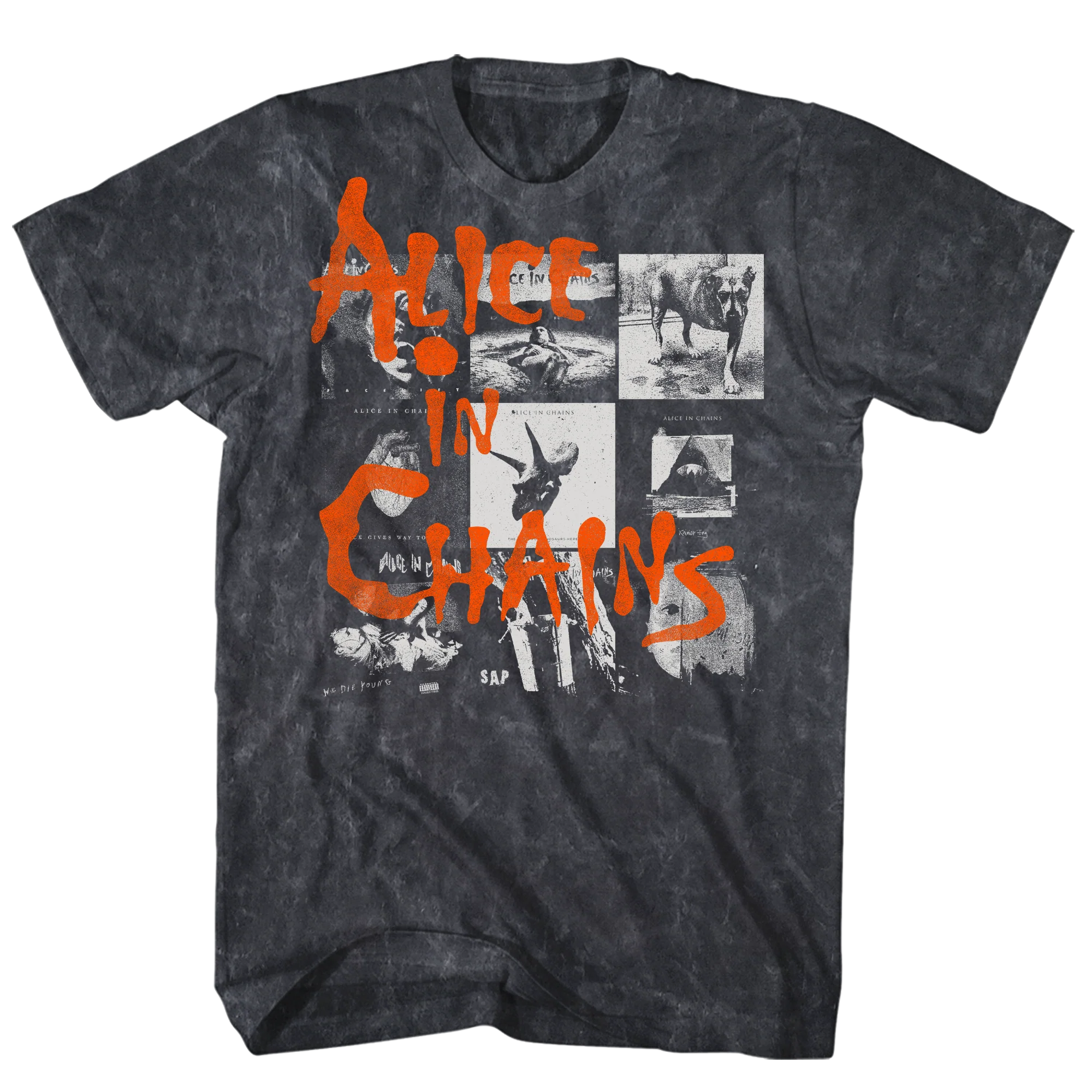 ALICE IN CHAINS ALBUM COVERS BLACK MINERAL WASH T-SHIRT