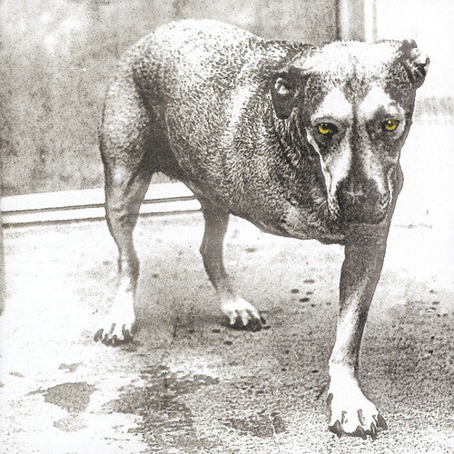 ALICE IN CHAINS 'ALICE IN CHAINS' CD - Image 2