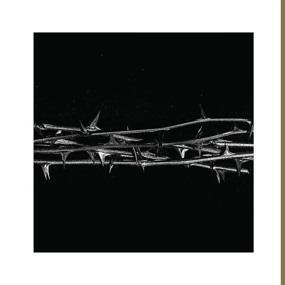 AMENRA ‘DE DOORN’ 2LP - LTD. - TRANSLUCENT GOLD - Image 5