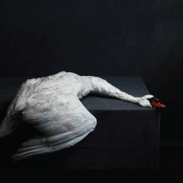AMENRA 'MASS VI' 2LP - IMPORT