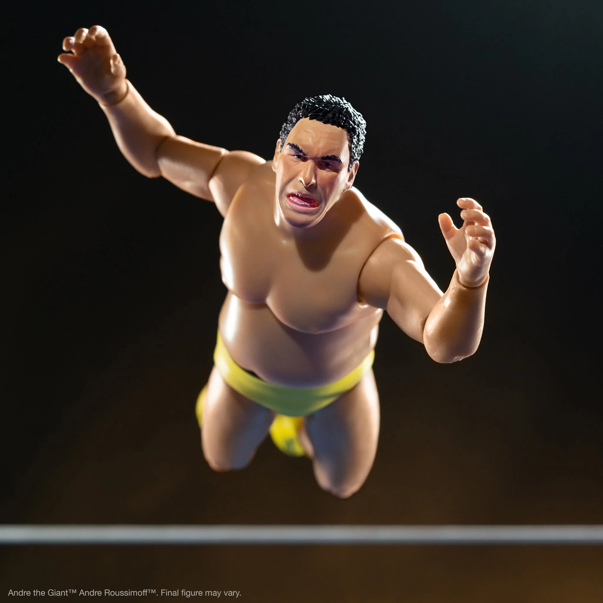 ANDRE THE GIANT ULTIMATES! FIGURE - Image 6