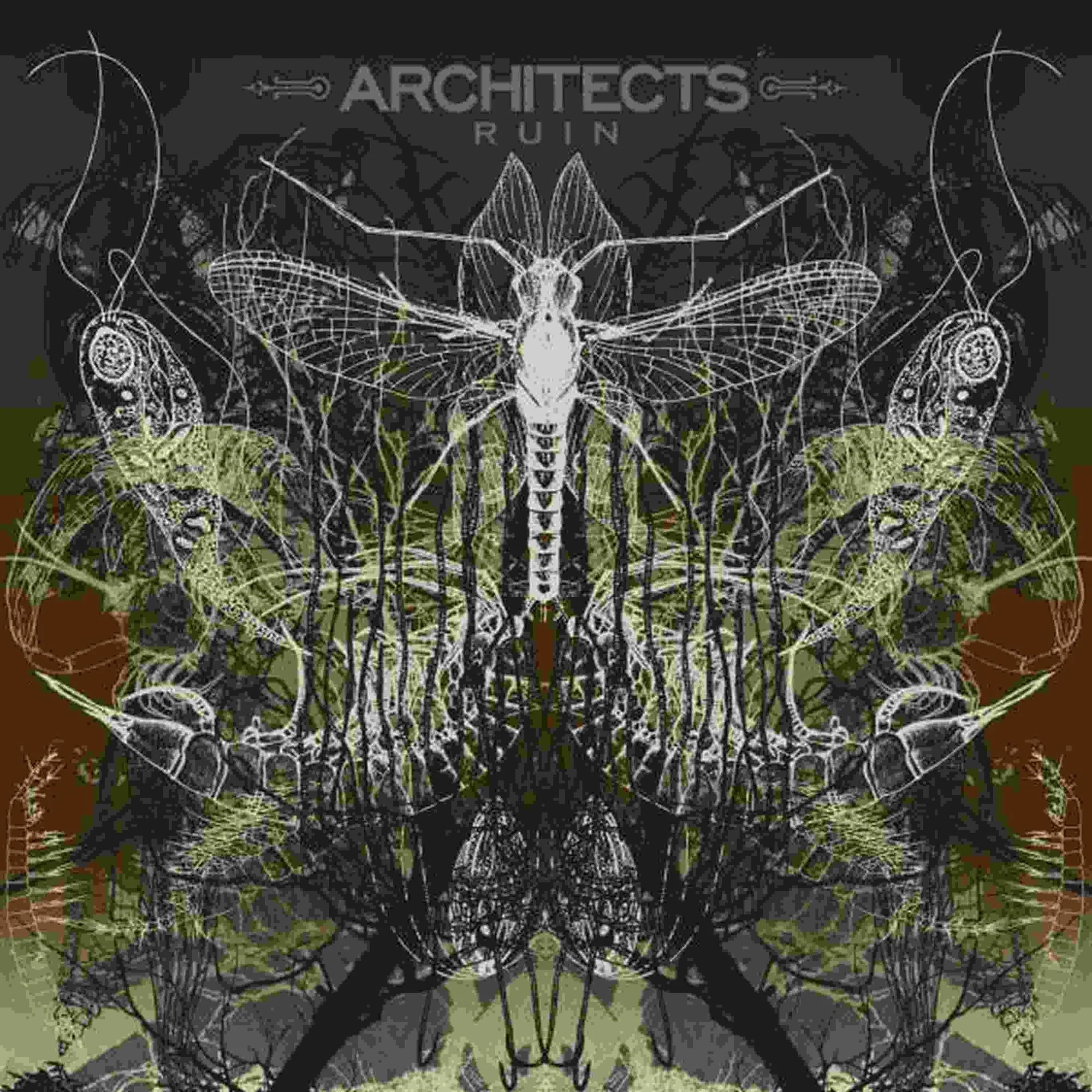 ARCHITECTS 'RUIN' LP