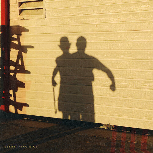 ARM'S LENGTH 'EVERYTHING NICE / WHAT'S MINE IS YOURS' LP - COLORED