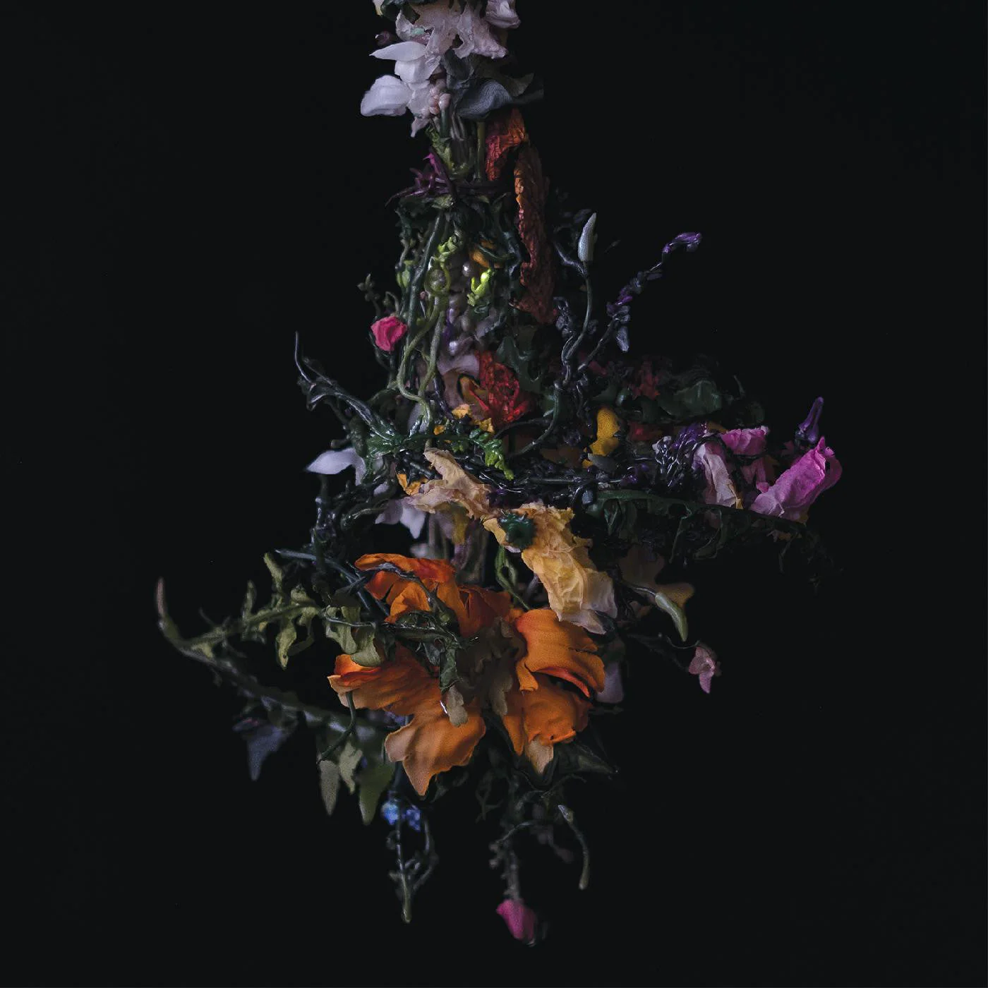 BIG|BRAVE 'NATURE MORTE' LP - LAVENEDER