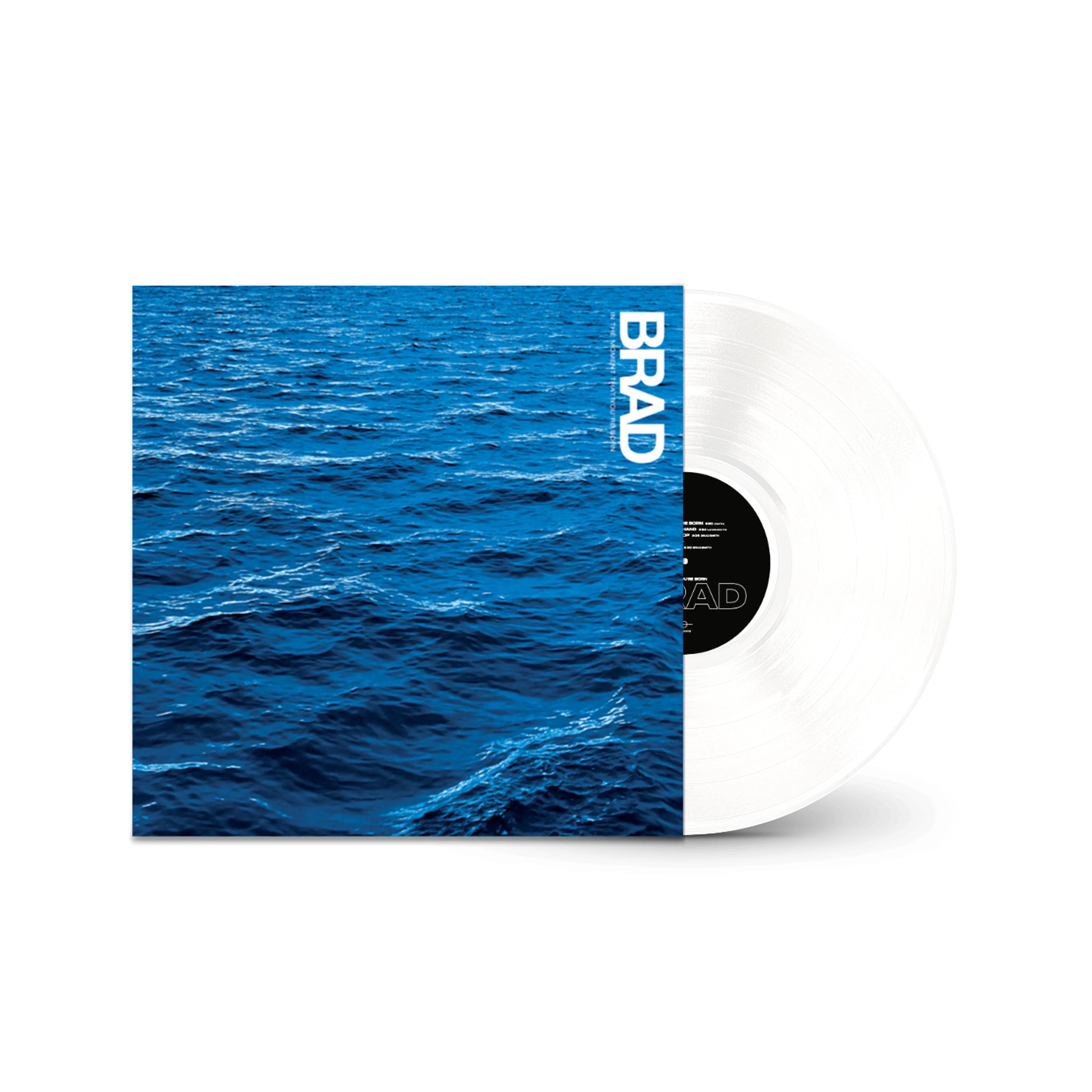 BRAD 'SHAME' 30TH ANNIVERSARY LP & 'IN THE MOMENT THAT YOU'RE BORN' LP VINYL BUNDLE - Image 3