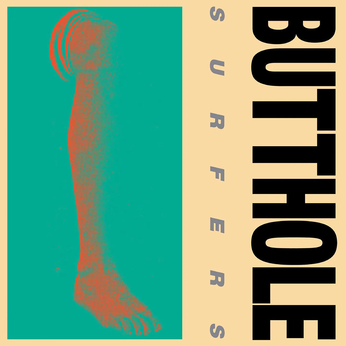 BUTTHOLE SURFERS 'REMBRANDT PUSSYHORSE' LP (2024 Remaster)
