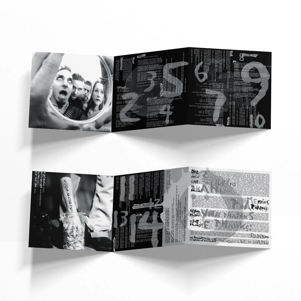 COAL CHAMBER "LOCO" LP BOX SET - EXCLUSIVE - LTD. 500 - Image 11
