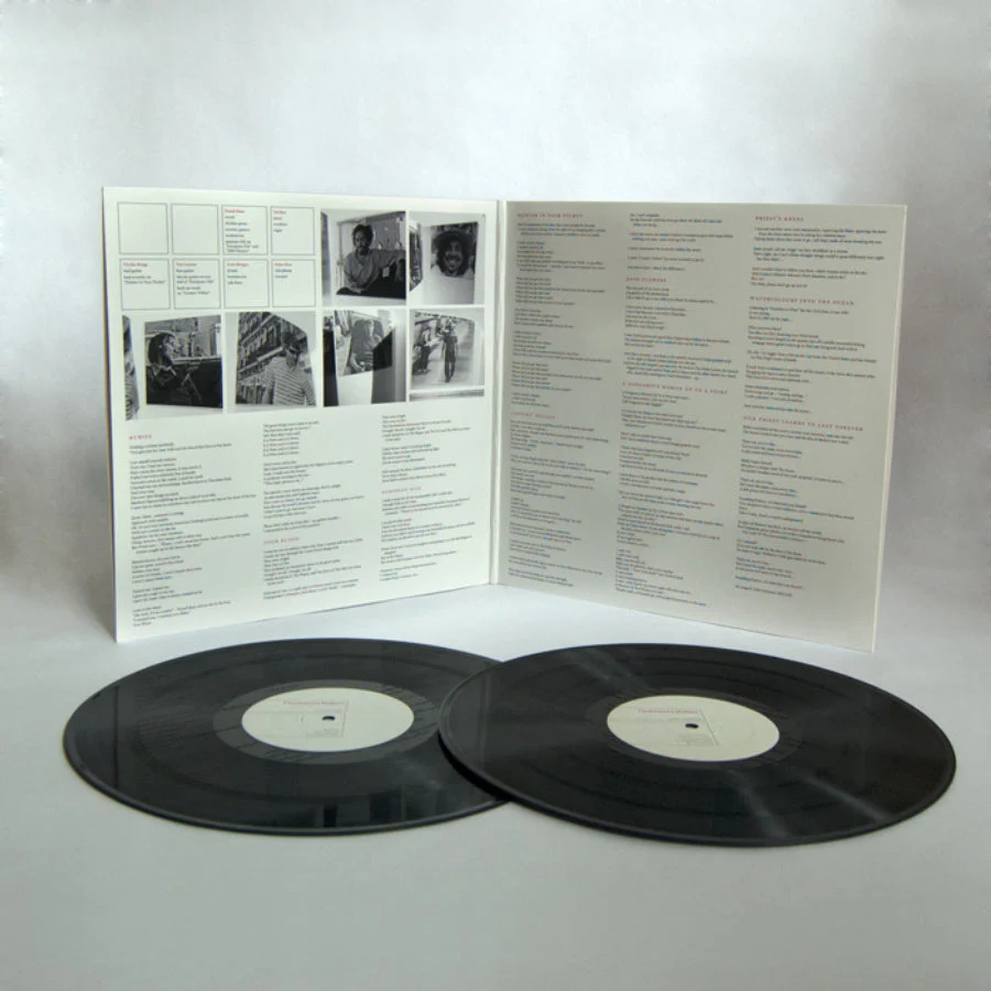 DESTROYER 'DESTROYER'S RUBIES' 2LP - Image 3