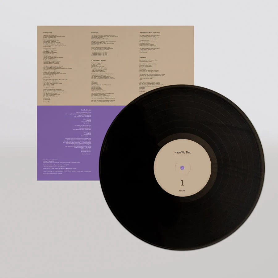 DESTROYER 'HAVE WE MET' LP - Image 3