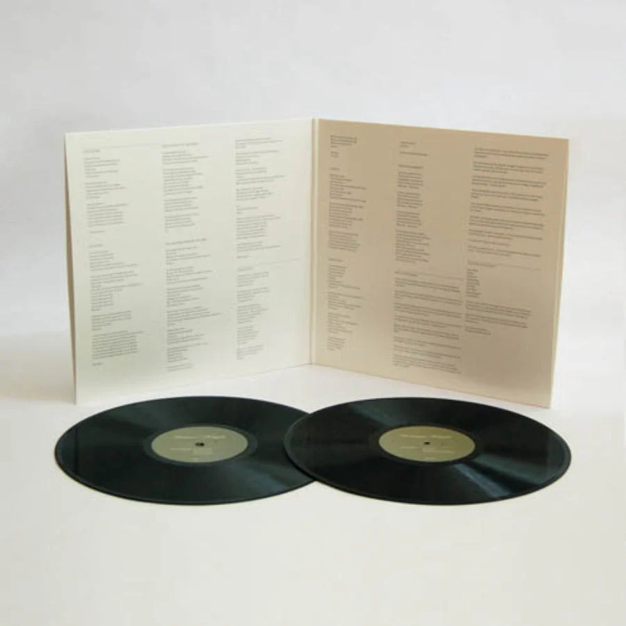 DESTROYER 'KAPUTT' 2LP - Image 3