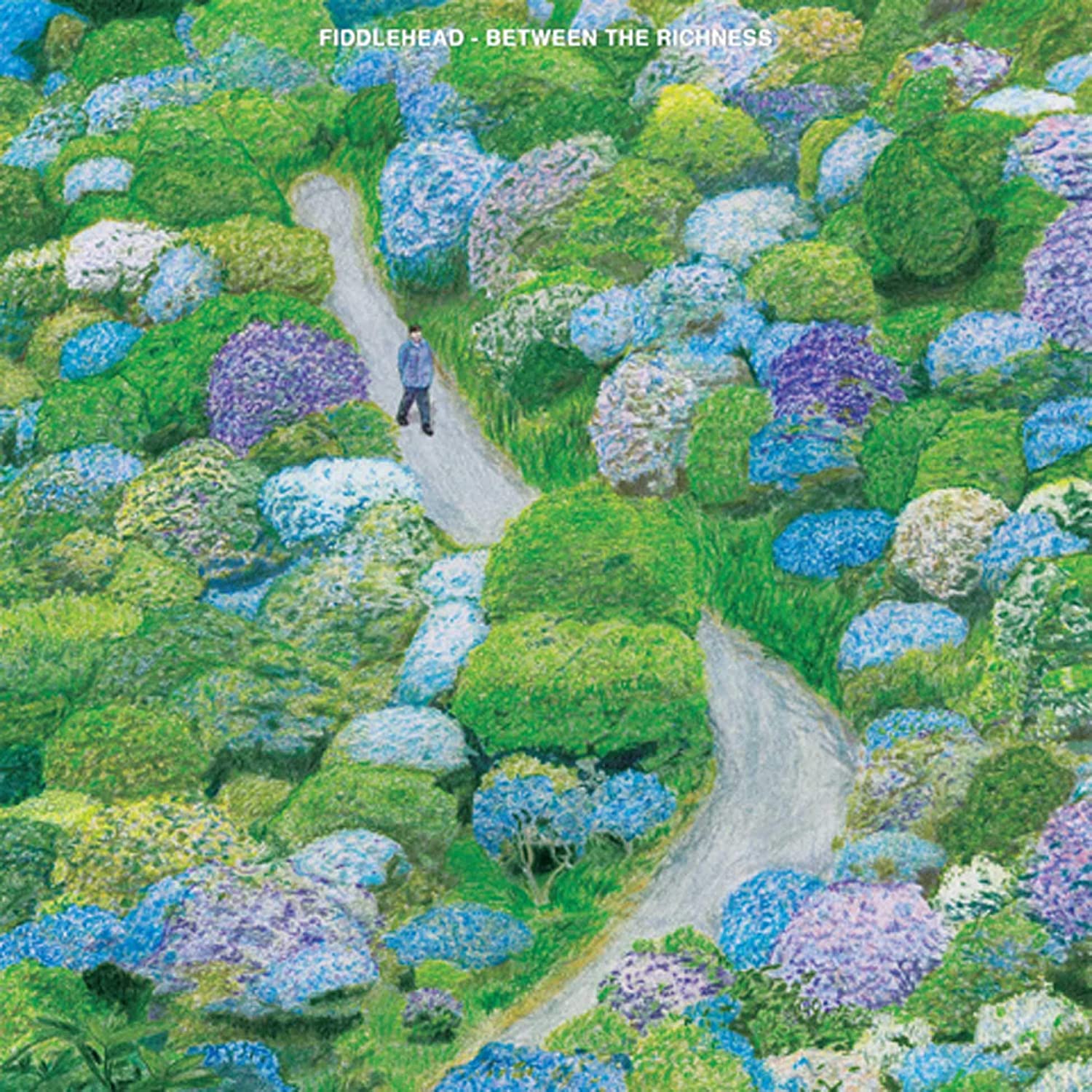 FIDDLEHEAD 'BETWEEN THE RICHNESS' LP (Blue & Clear Moon Phase Vinyl) - Image 2
