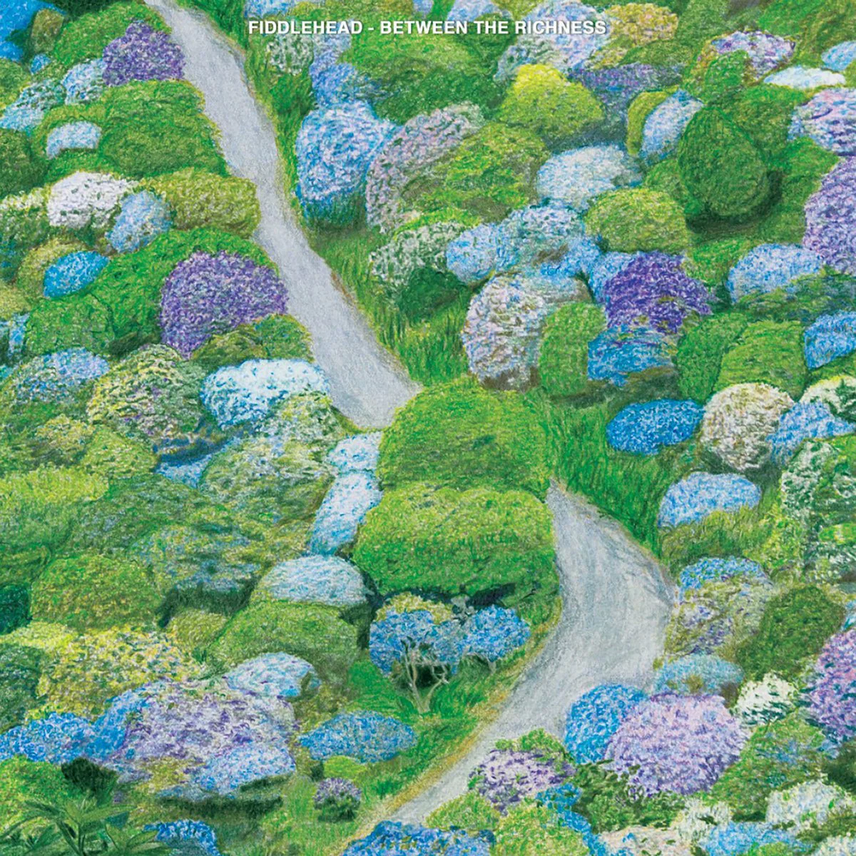 FIDDLEHEAD 'BETWEEN THE RICHNESS' LP (White & Purple Vinyl) - Image 2