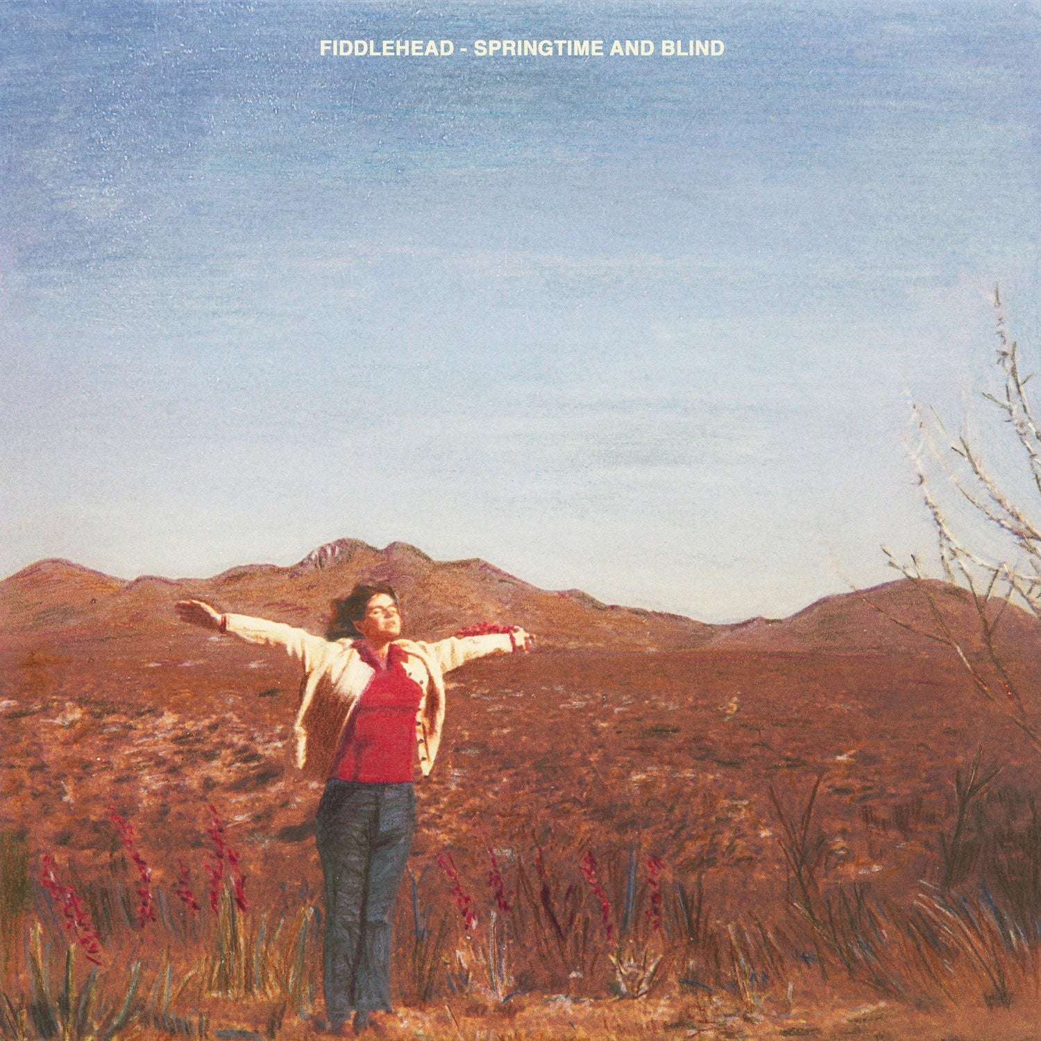 FIDDLEHEAD 'SPRINGTIME AND BLIND' LP (Clear & Mustard Pinwheel Vinyl) - Image 2