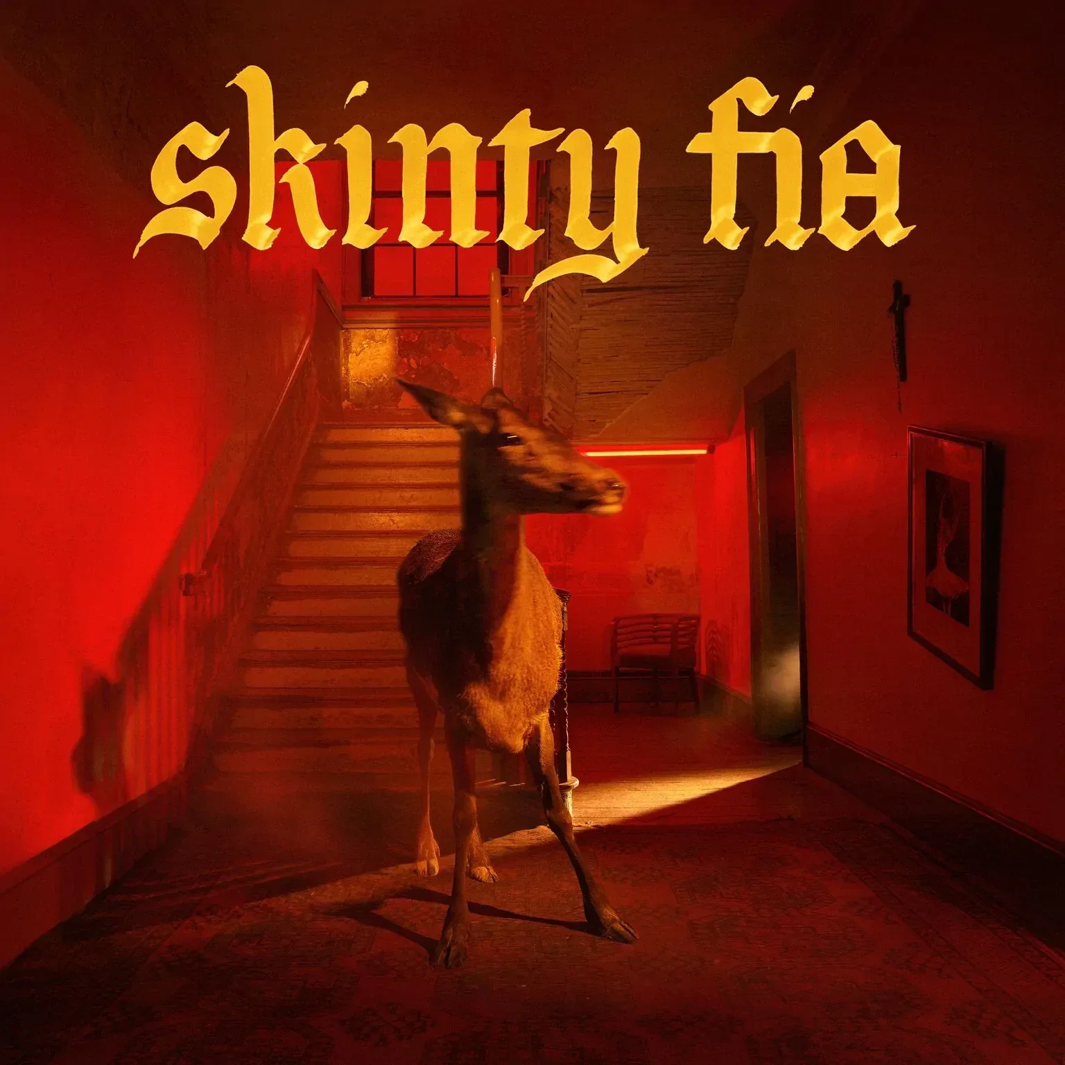 FONTAINES DC 'SKINTY FIA' LP - LTD. 750 - TRANSPARENT RED - Image 3