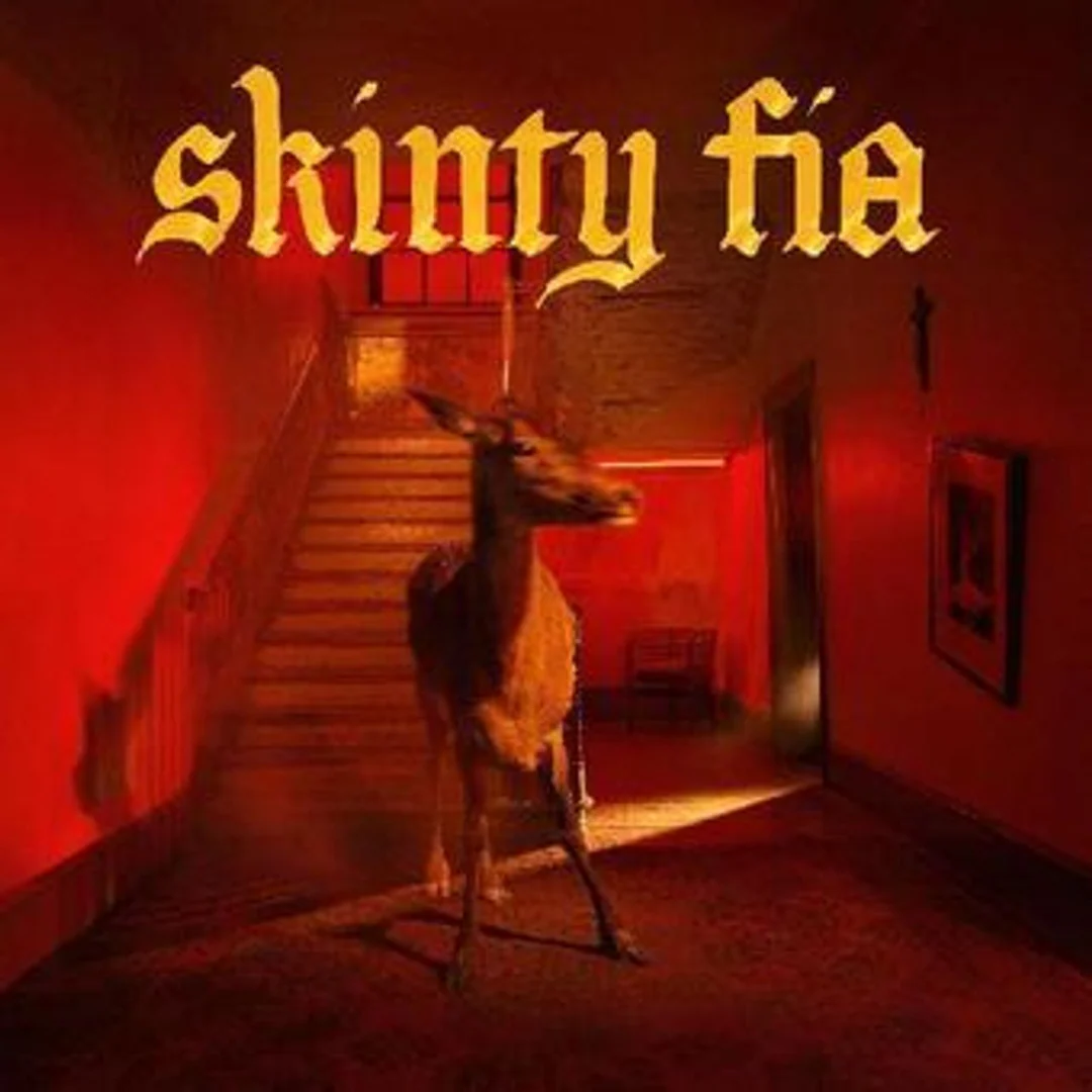 FONTAINES DC 'SKINTY FIA' 2LP - DELUXE - LTD. - Image 2