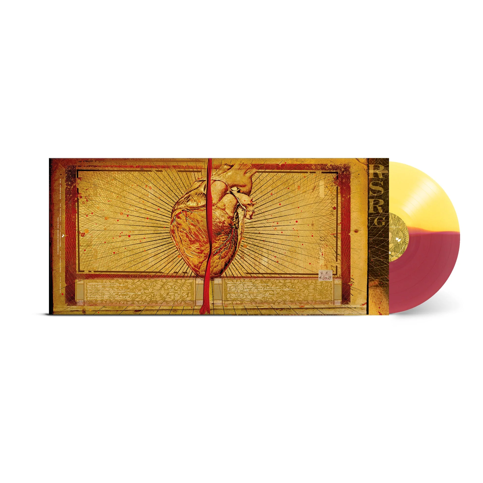 FURTHER SEEMS FOREVER ‘HIDE NOTHING’ LP - LTD. 100 - YELLOW/BURGUNDY - Image 3