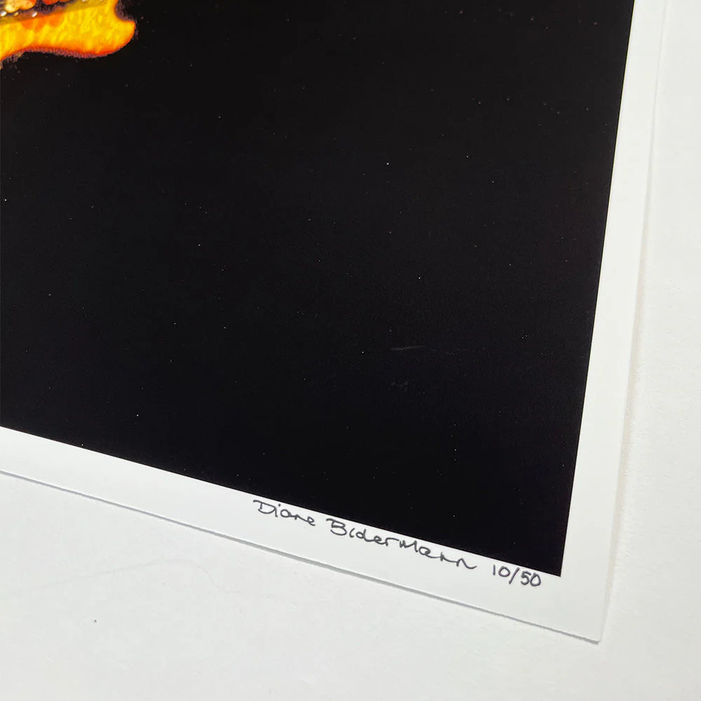 GRATEFUL DEAD - JERRY GARCIA 16" x 20" LIMITED EDITION PHOTO PRINT - Image 3