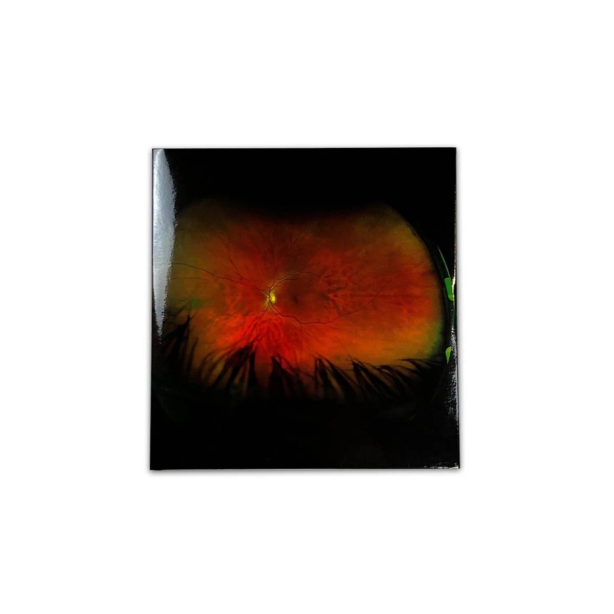 GREG PUCIATO 'MIRRORCELL' CD - Image 2