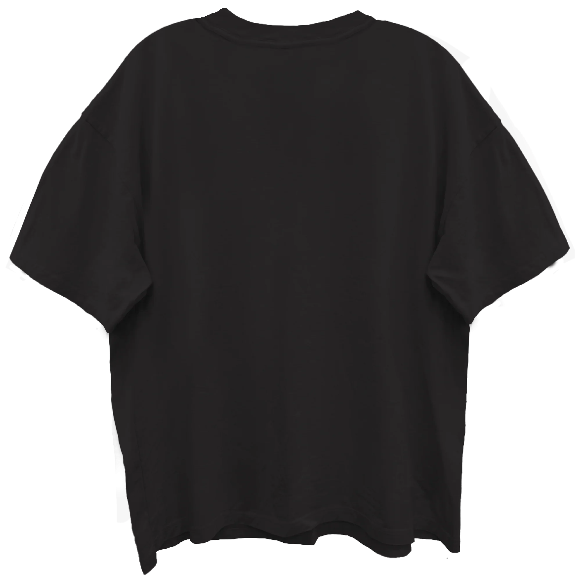JANES ADDICTION BURNING LADY LIMO BLACK ENZYME WASH T-SHIRT/GIANT VINTAGE - Image 2