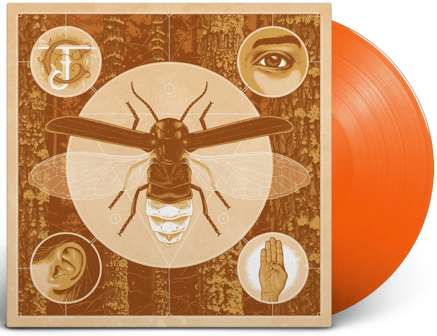 JERRY CANTRELL ‘BRIGHTEN’ LP - LTD. 500 - HALLOWEEN ORANGE - Image 3