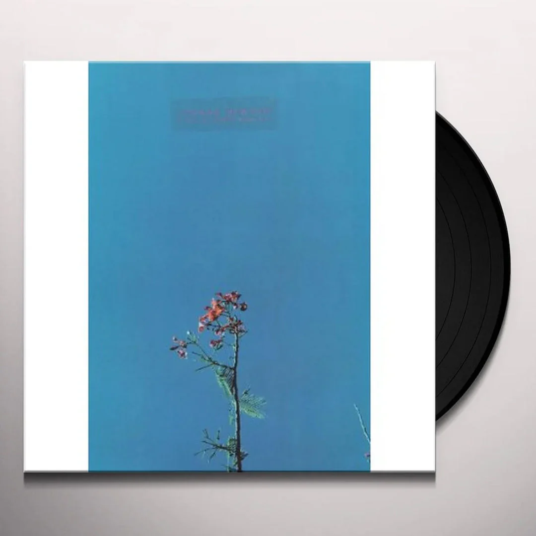 JOANNA NEWSOM & THE YS STREET BAND 'EP' LP