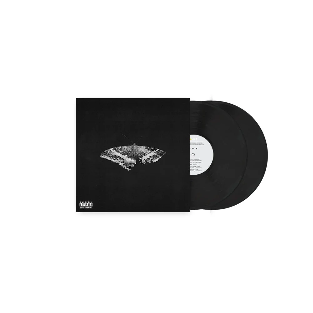 KENDRICK LAMAR 'TO PIMP A BUTTERFLY' 10TH ANNIVERSARY EDITION 2LP - ALTERNATE ARTWORK - Image 3