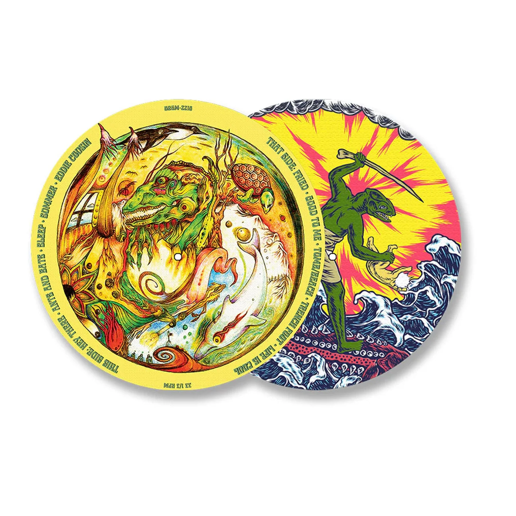 KING GIZZARD & THE LIZARD WIZARD 'TEENAGE GIZZARD' LP - PICTURE DISC