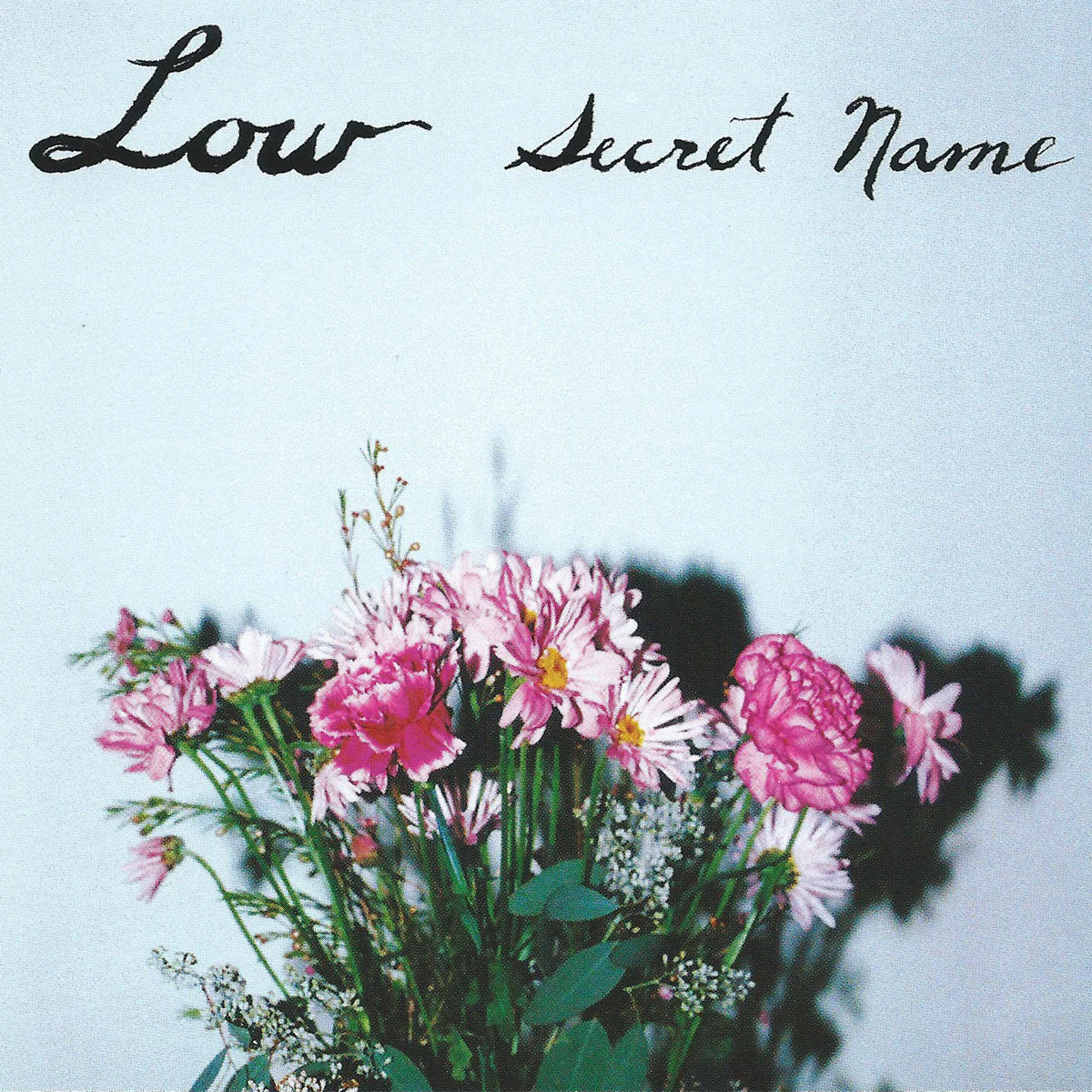 LOW 'SECRET NAME' LP