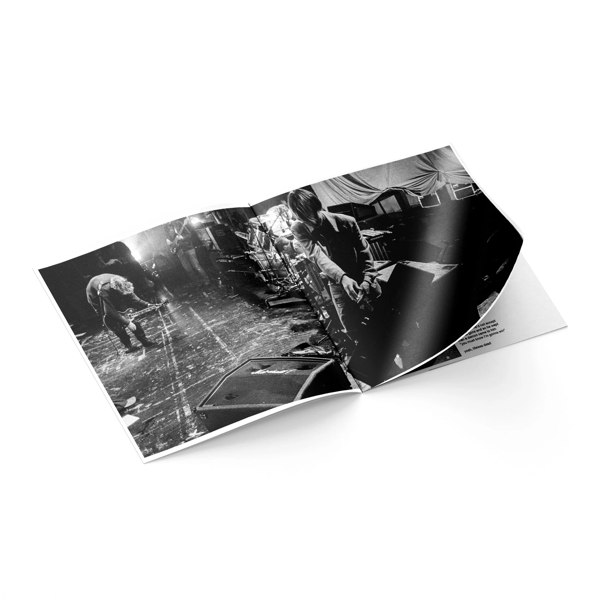 MAD SEASON 'ABOVE’ 30TH ANNIVERSARY EDITION 2LP - Image 4