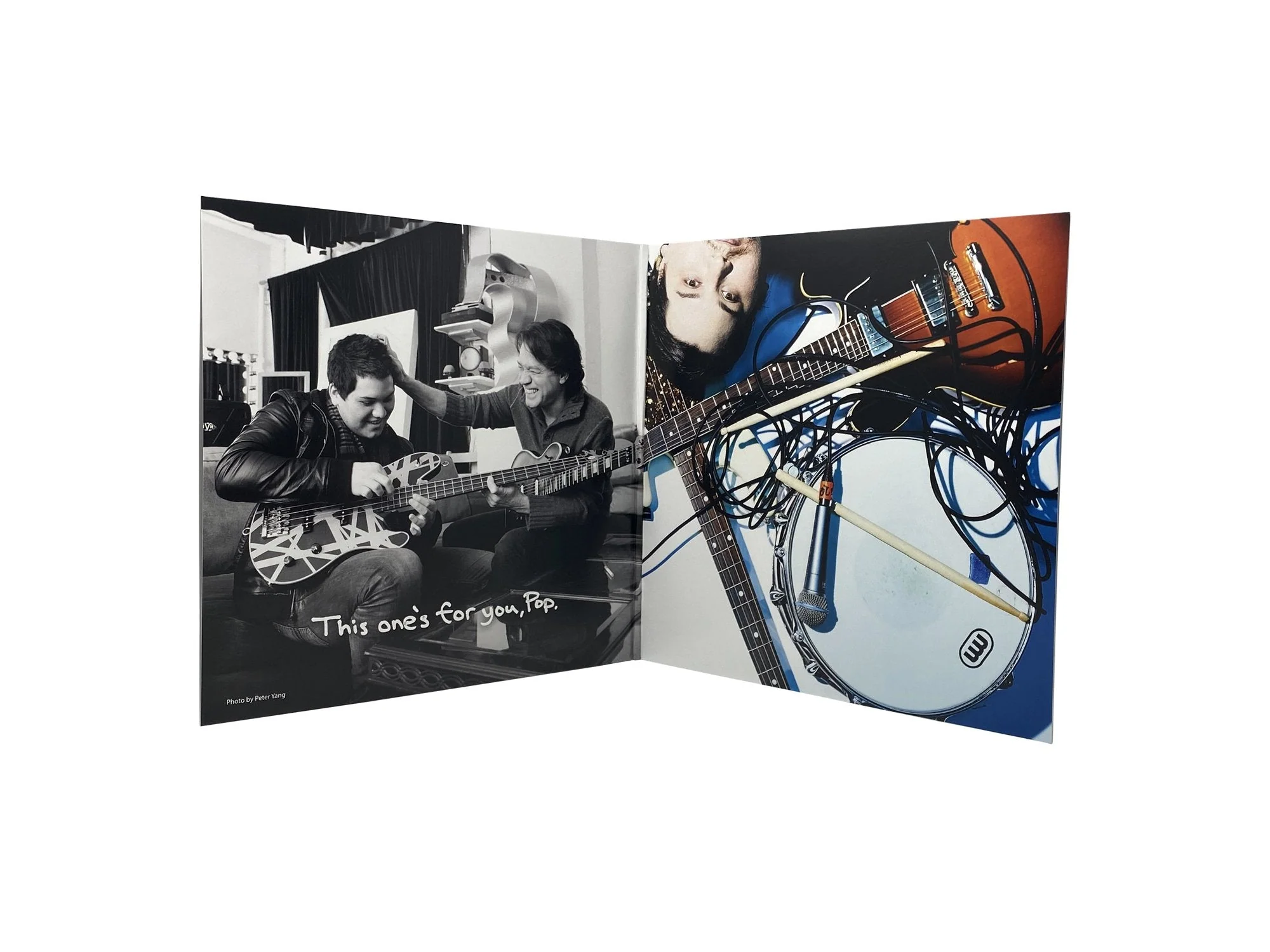 MAMMOTH 'MAMMOTH WVH' LP - BLACK ICE - Image 2