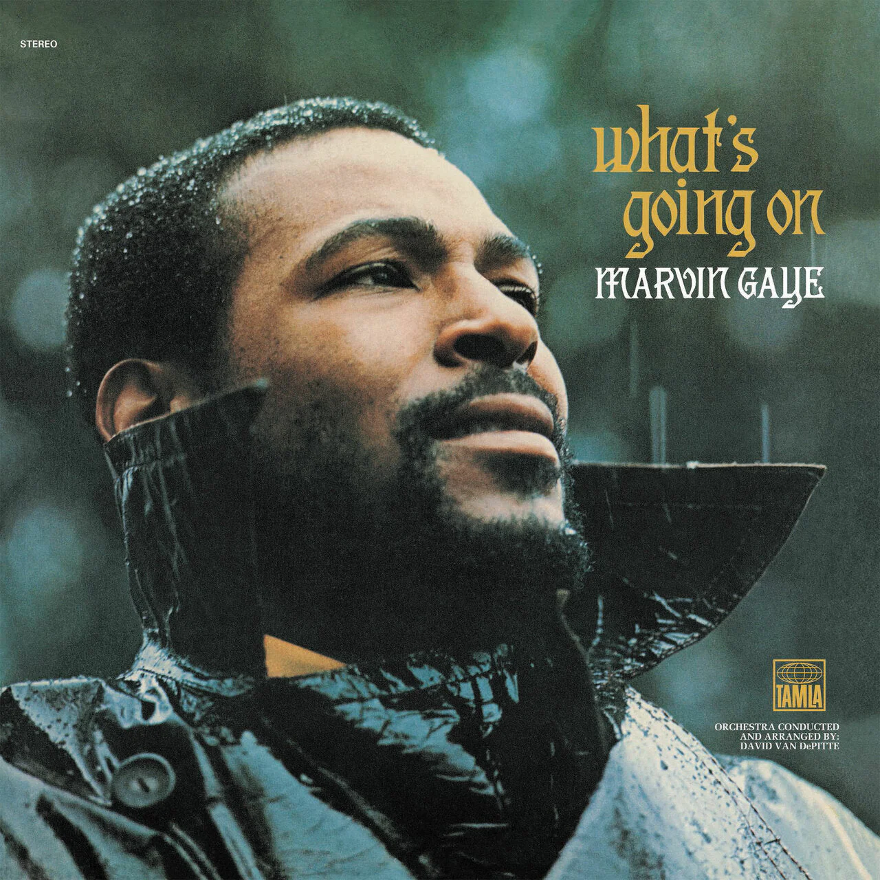 MARVIN GAYE 'WHAT'S GOING ON' 50TH ANNIVERSARY 2LP - Image 2