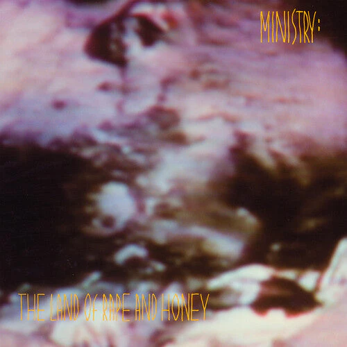 MINISTRY 'THE LAND OF RAPE AND HONEY' 2LP - DELUXE EDITION - Image 2