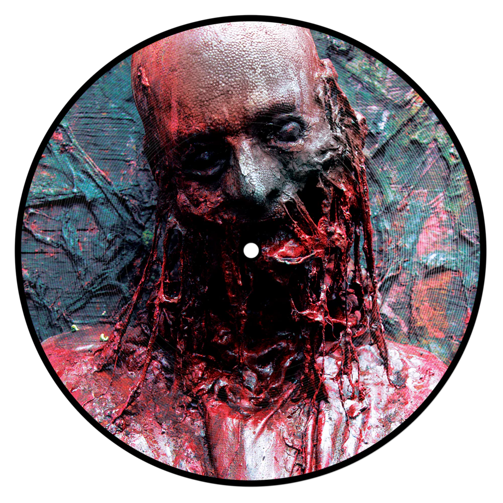 NAILS 'I DON'T WANT TO KNOW YOU' 7" EP - PICTURE DISC - Image 2