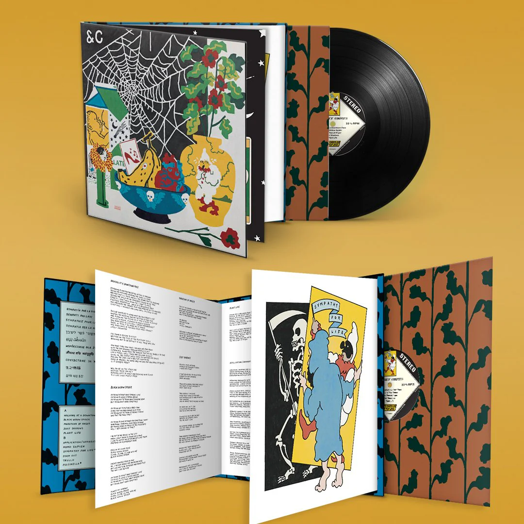 PARQUET COURTS 'SYMPATHY FOR LIFE' LP - DELUXE - Image 2