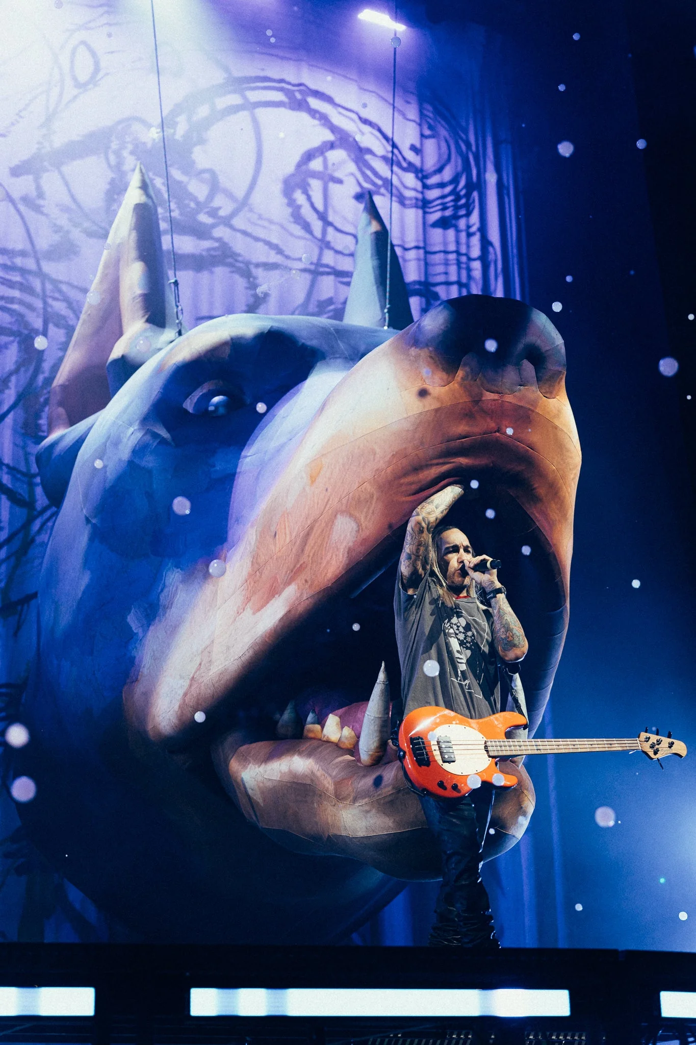 PETE WENTZ ARTIST SERIES STINGRAY BASS (AP Exclusive Early Access - Fiesta Red) - Image 10