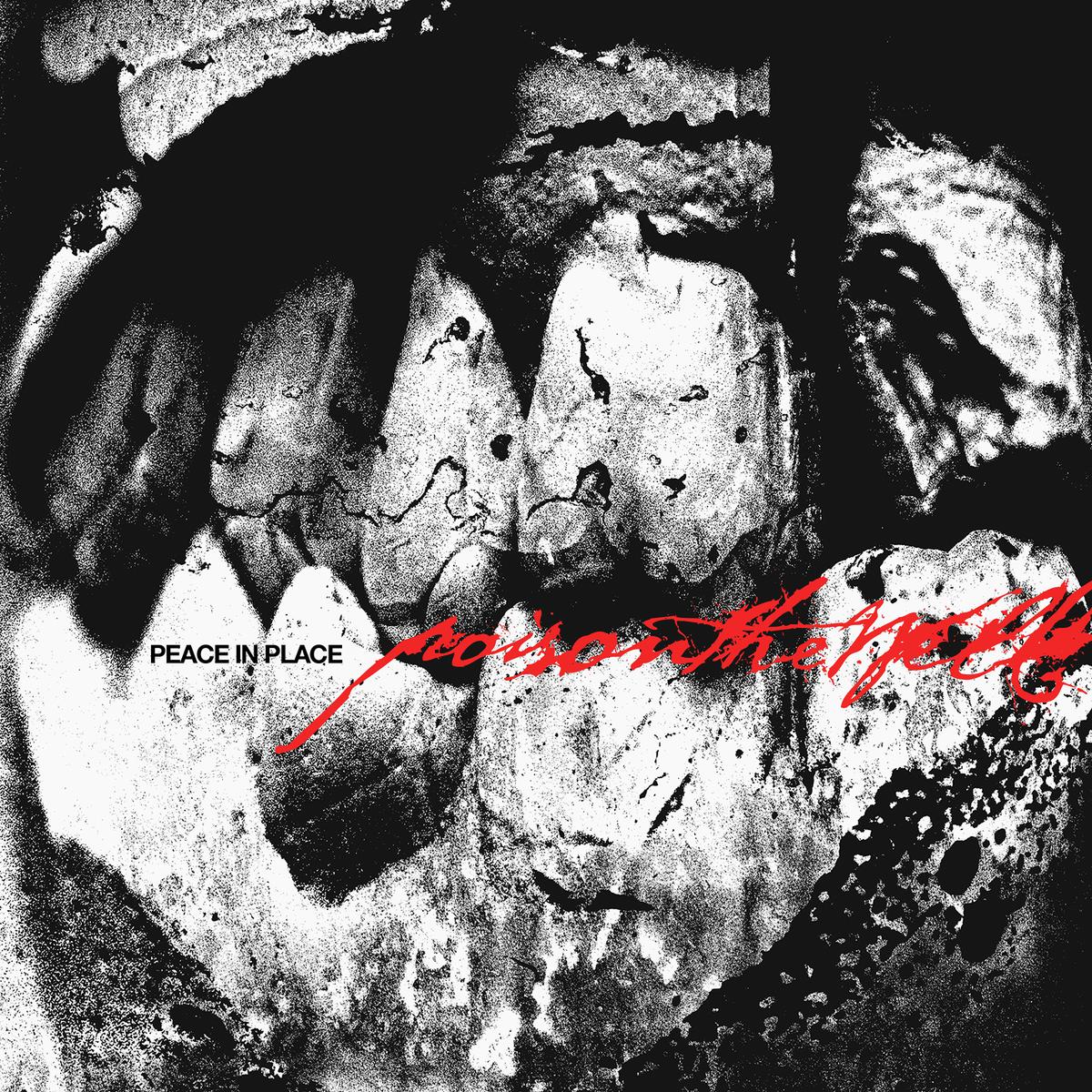 POISON THE WELL 'PEACE IN PLACE' CD