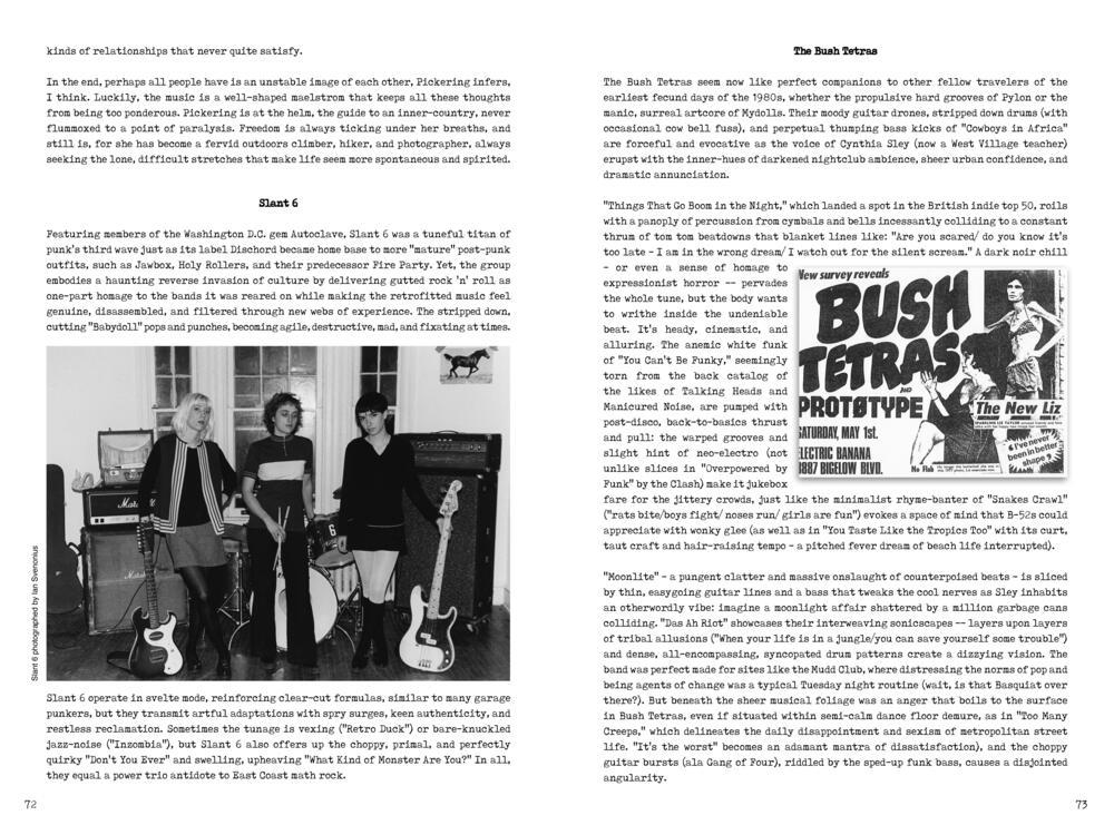 PUNK WOMEN: 40 YEARS OF MUSICIANS WHO BUILT PUNK ROCK BOOK - Image 2