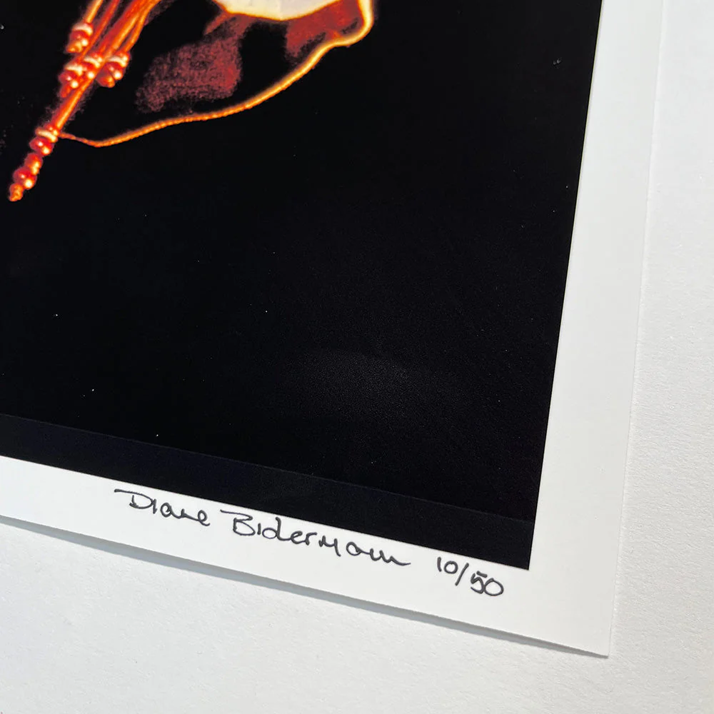 QUEEN - BRIAN MAY 16" x 20" LIMITED EDITION PHOTO PRINT - Image 2