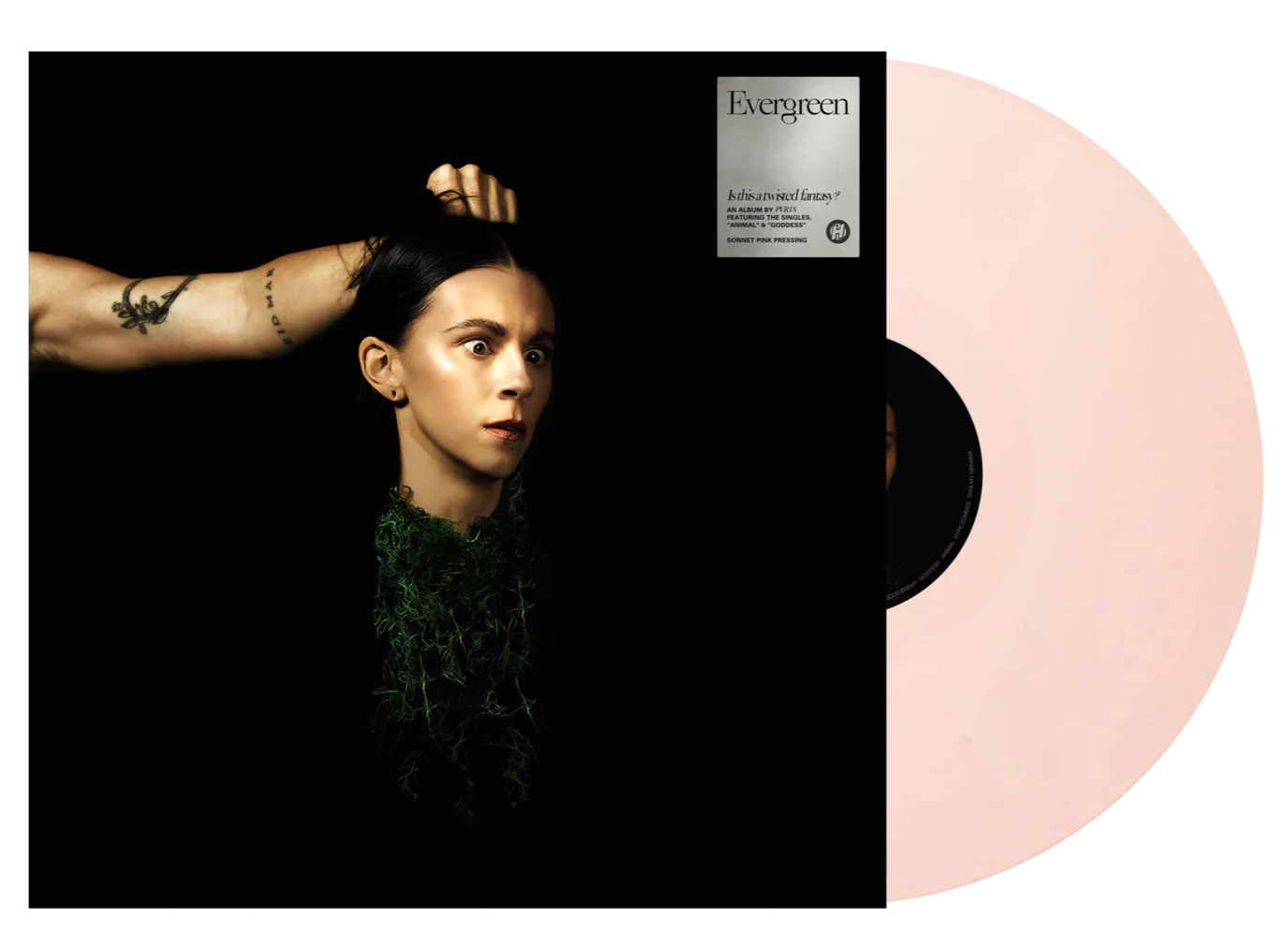 ALTERNATIVE PRESS SUMMER 2023 ISSUE FEATURING SAD SUMMER FEST + PVRIS 'EVERGREEN' LP - EXCLUSIVE - LTD. - SONNET PINK - Image 3