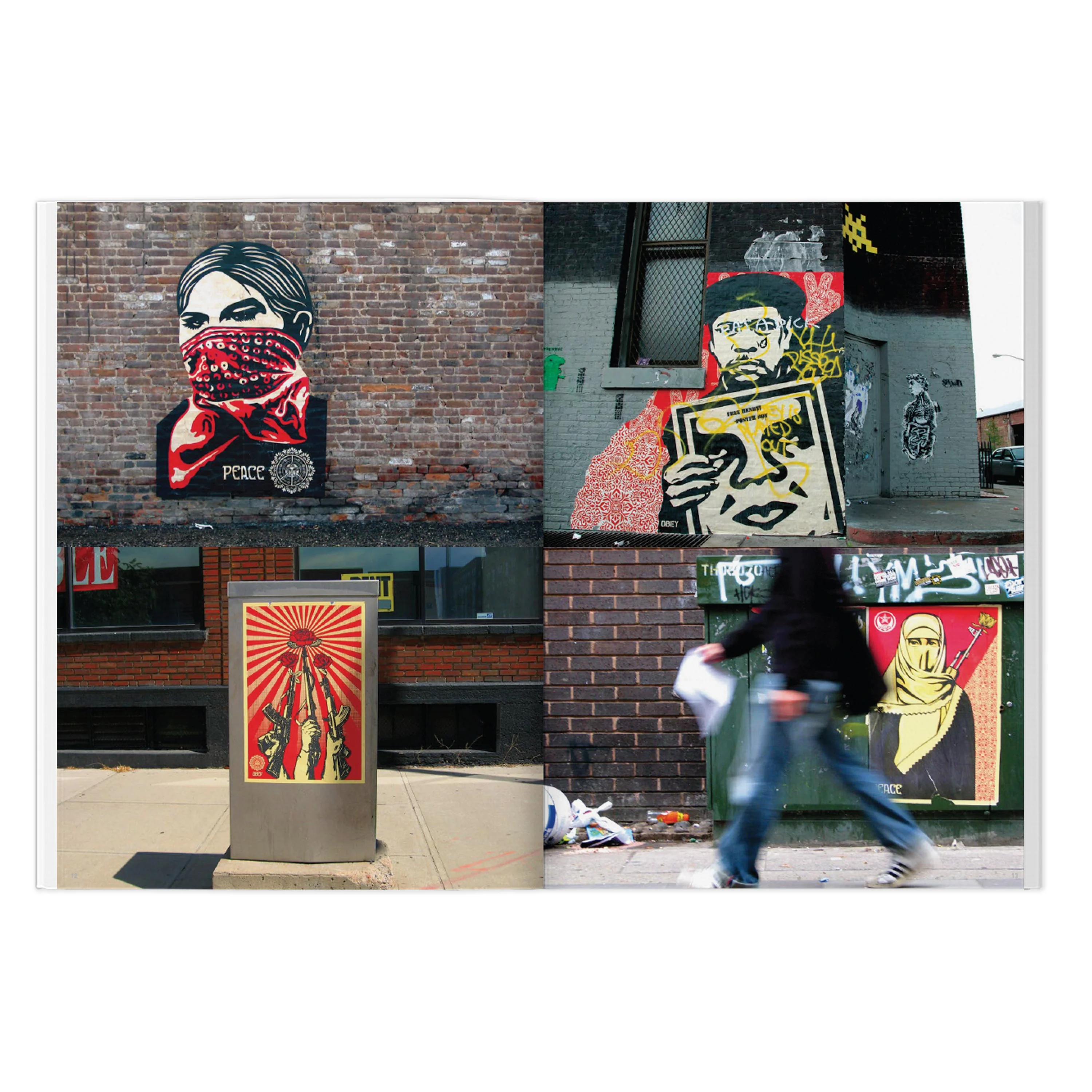 SHEPHARD FAIREY 'WEATHERED' BOOK - Image 5