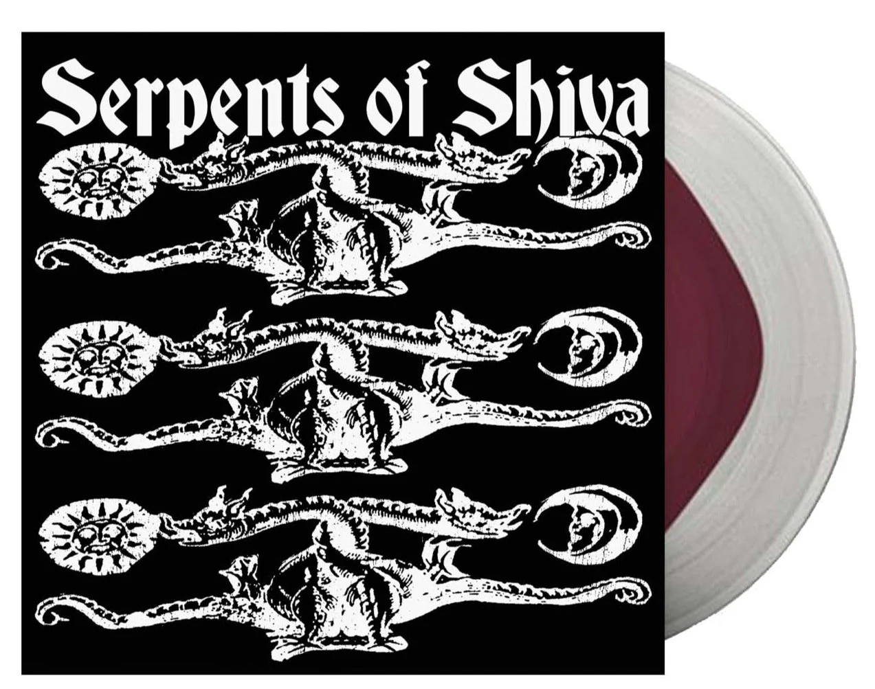 TERROR ‘BBC SESSIONS’ & 'PAIN INTO POWER' LPS + SERPENTS OF SHIVA 7" LIMITED BUNDLE - Image 3