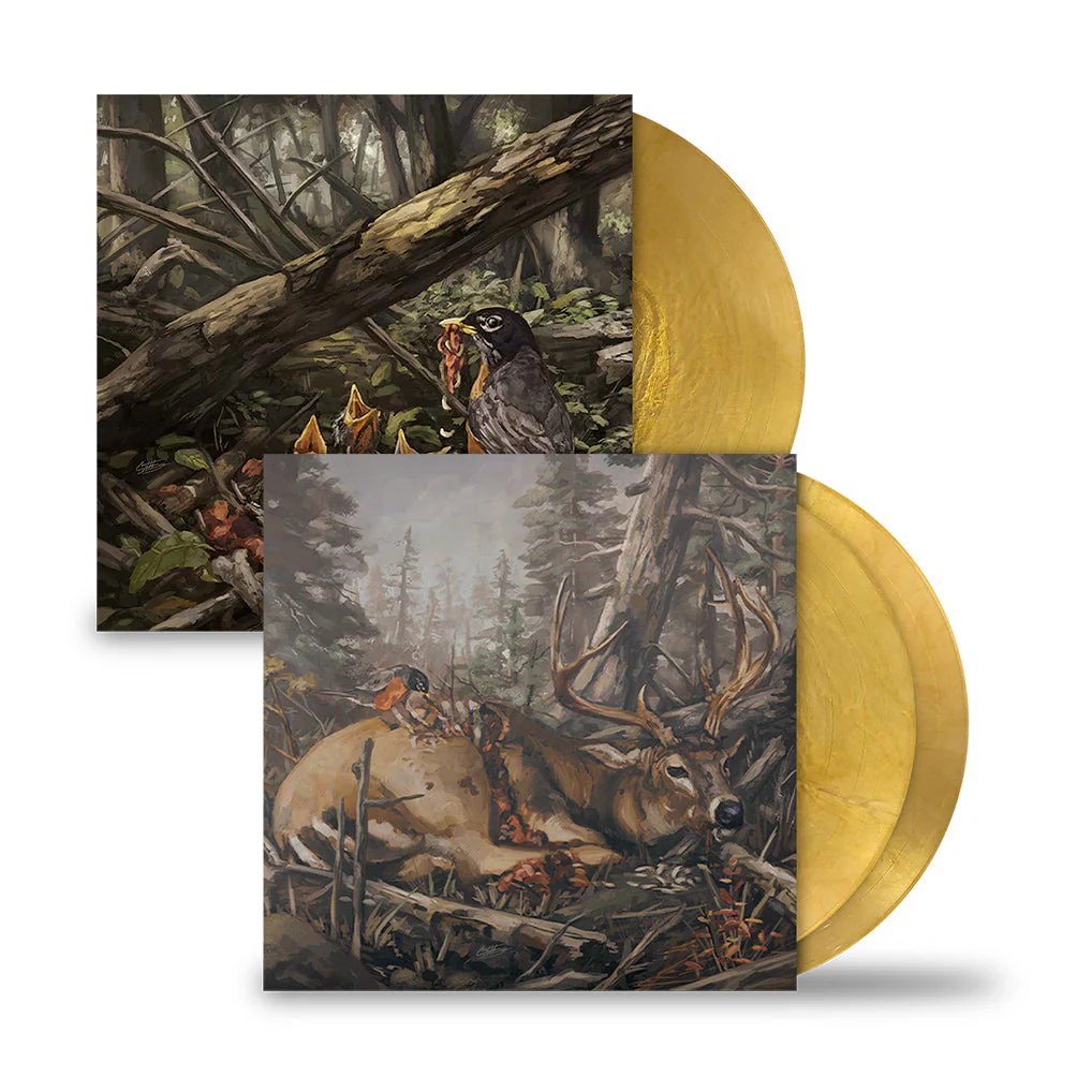 THE ACACIA STRAIN ‘STEP INTO THE LIGHT’ LP & 'FAILURE WILL FOLLOW' 2LP - EXCLUSIVE - LTD. 100 - GOLD METALLIC SWIRL