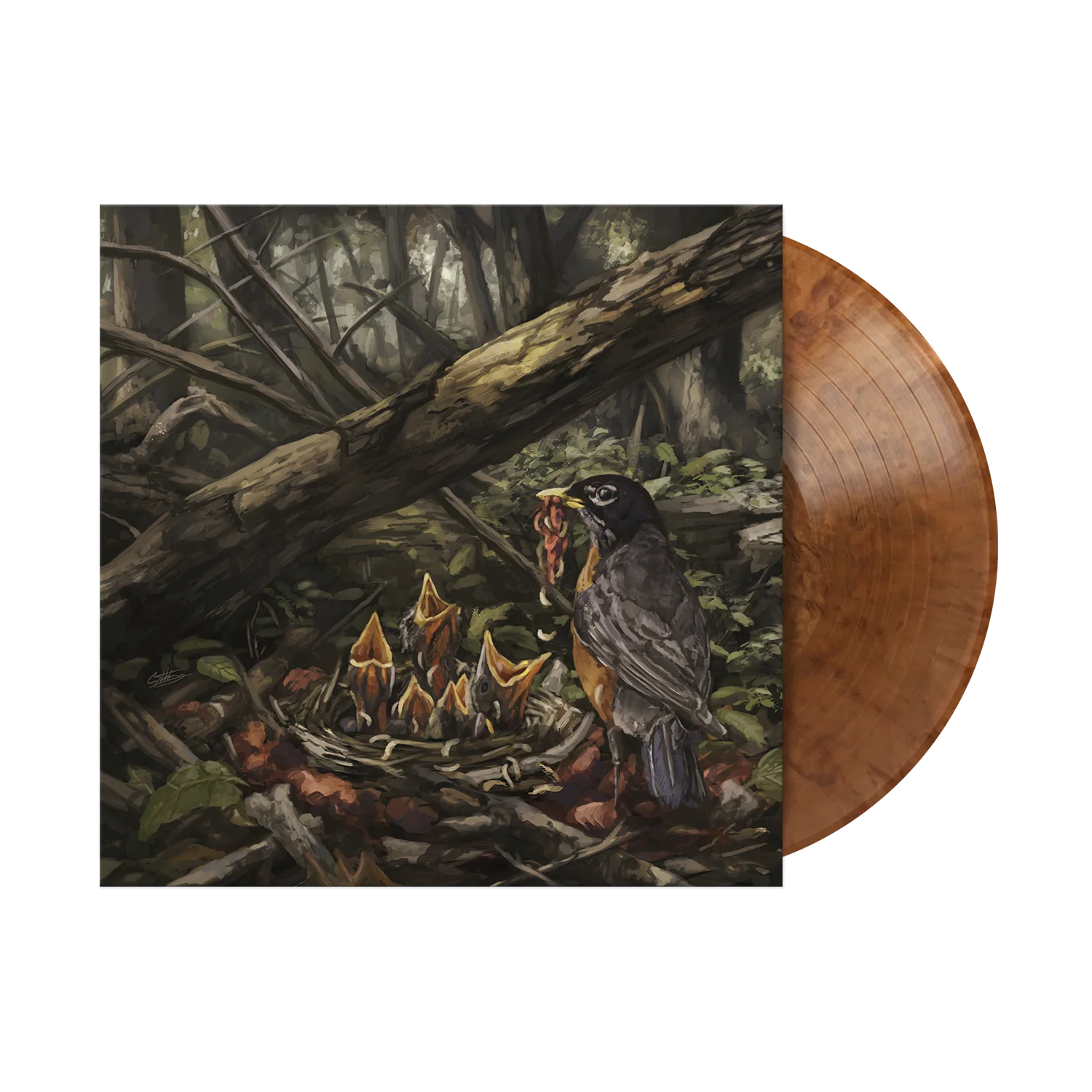 THE ACACIA STRAIN ‘STEP INTO THE LIGHT ’ LP - EXCLUSIVE - LTD. 400 - PEARLESCENT COPPER SWIRL