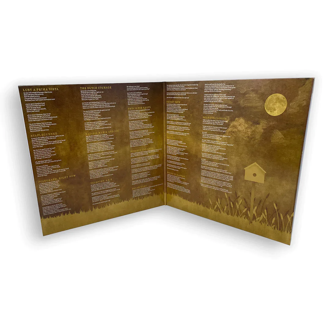THE SPILL CANVAS ‘ONE FELL SWOOP’ 2LP - EXCLUSIVE - LTD. 200 - BEER/SWAMP GREEN/SPLATTER - Image 3