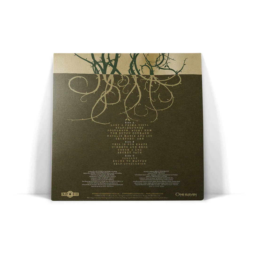 THE SPILL CANVAS ‘ONE FELL SWOOP’ 2LP - EXCLUSIVE - LTD. 200 - BEER/SWAMP GREEN/SPLATTER - Image 5
