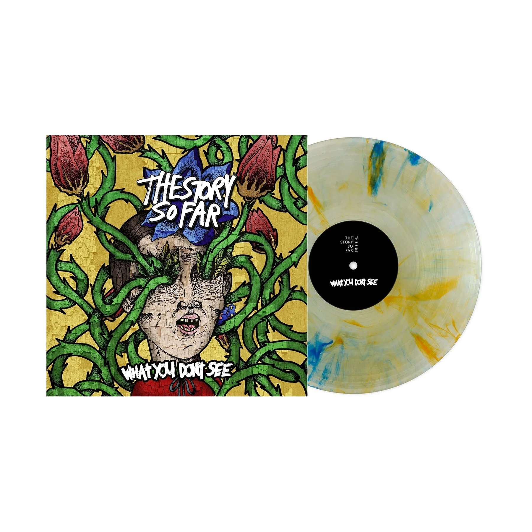 THE STORY SO FAR 'WHAT YOU DON'T SEE' LP - TIDE PODS MARBLE