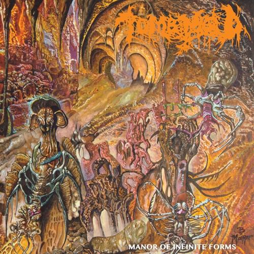 TOMB MOLD 'MANOR OF INFINITE FORMS' LP - NEON ORANGE/BLACK SMOKE - Image 2