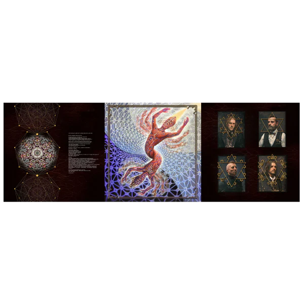 TOOL 'FEAR INOCULUM' 3LP - Image 3